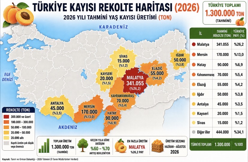 Türkiye’nin kayısı haritası.. Malatya zirvede, Mersin yükselişte!