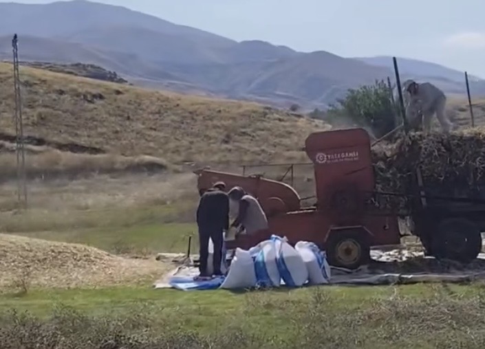 Erkenek’te kuru fasulye hasadı başladı